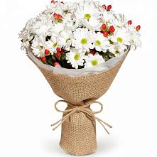 Букет цветов из:  Хризантемы #REPLACE_PRED# Выкопанке