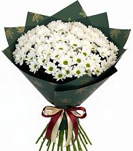 Букет цветов из:  Хризантемы #REPLACE_PRED# Выкопанке